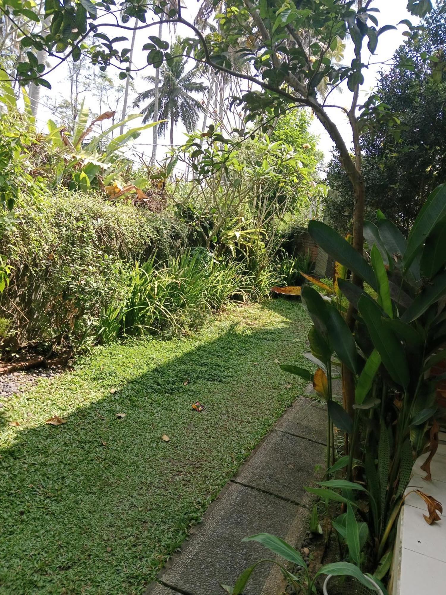 Sunrise Coconut House Hotell Ubud Eksteriør bilde